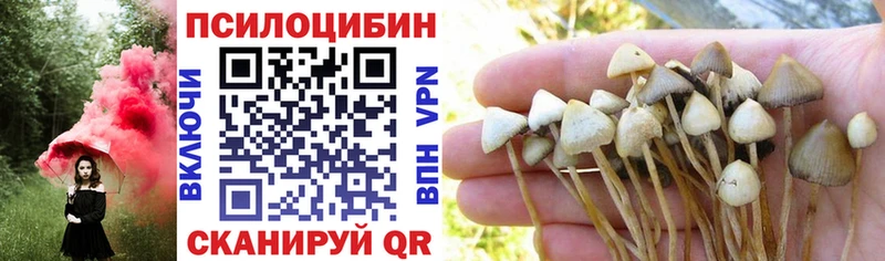 Псилоцибиновые грибы Psilocybe  mega ССЫЛКА  Сунжа 