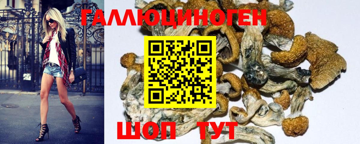 Галлюциногенные грибы Psilocybine cubensis  Вход с VPN  Сунжа  Псилоцибиновые грибы MAGIC MUSHROOMS 