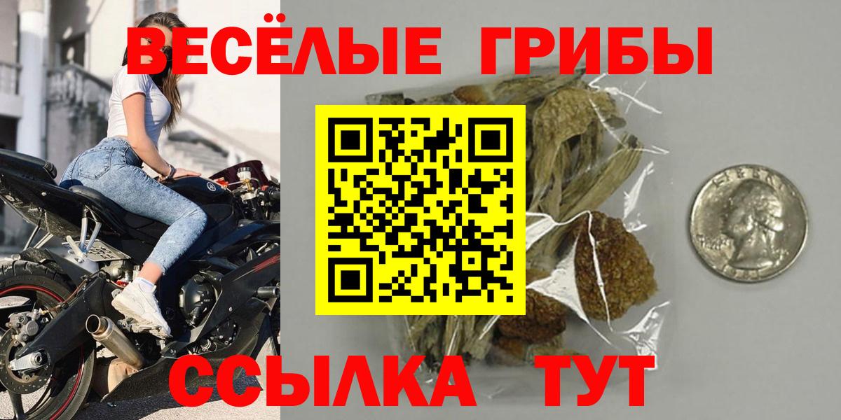 Галлюциногенные грибы Psilocybe Сунжа